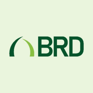 BRD Tool